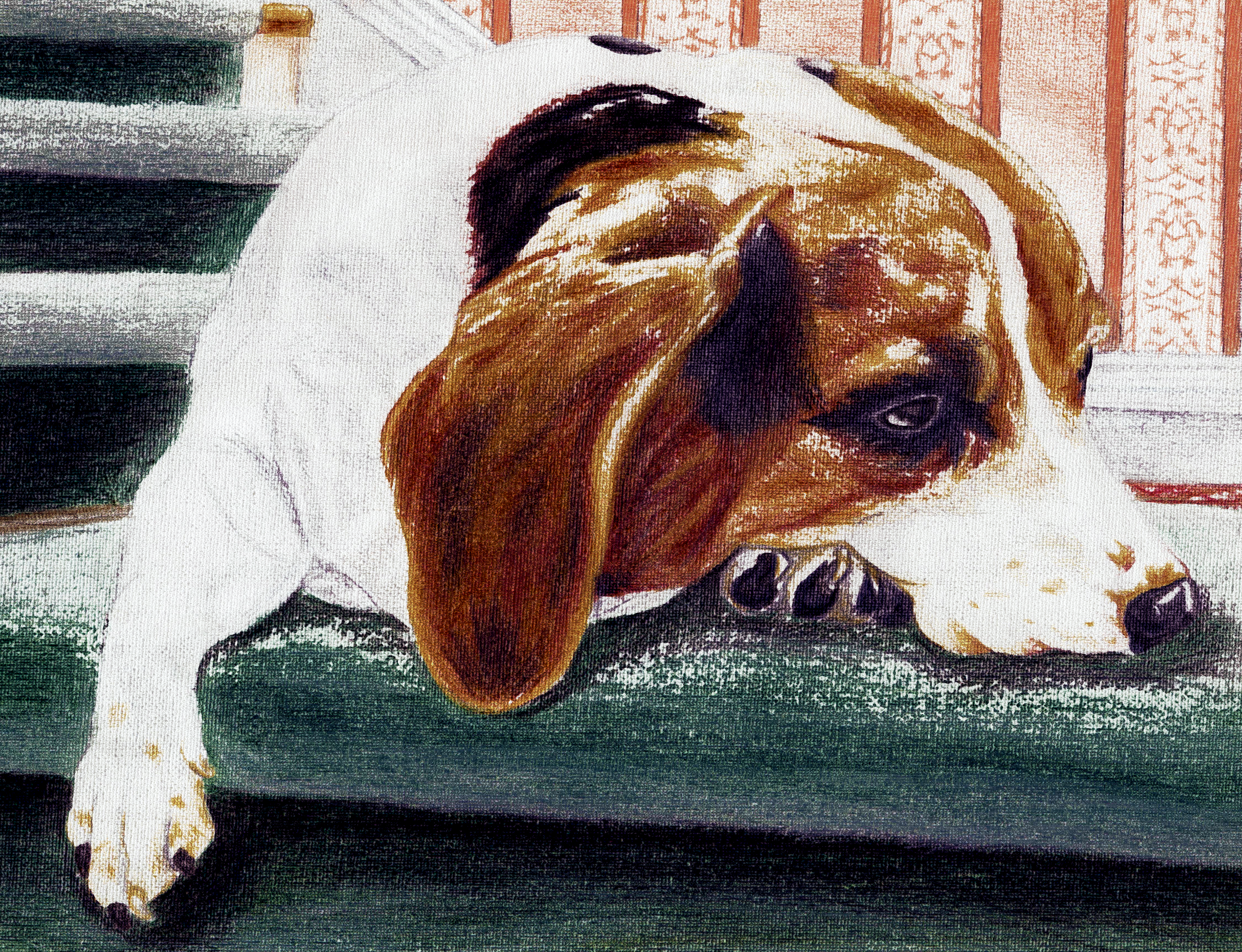 Colored pencil drawing of my beagle, Laika.